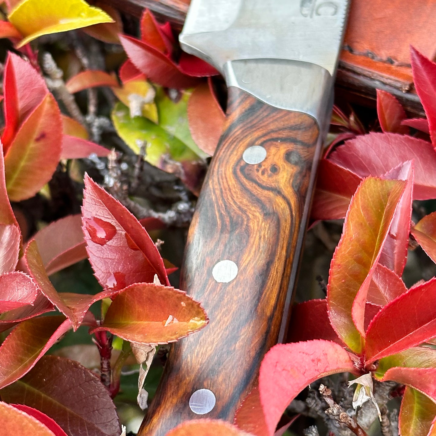 5" Camp Utility Knife (Made to Order)