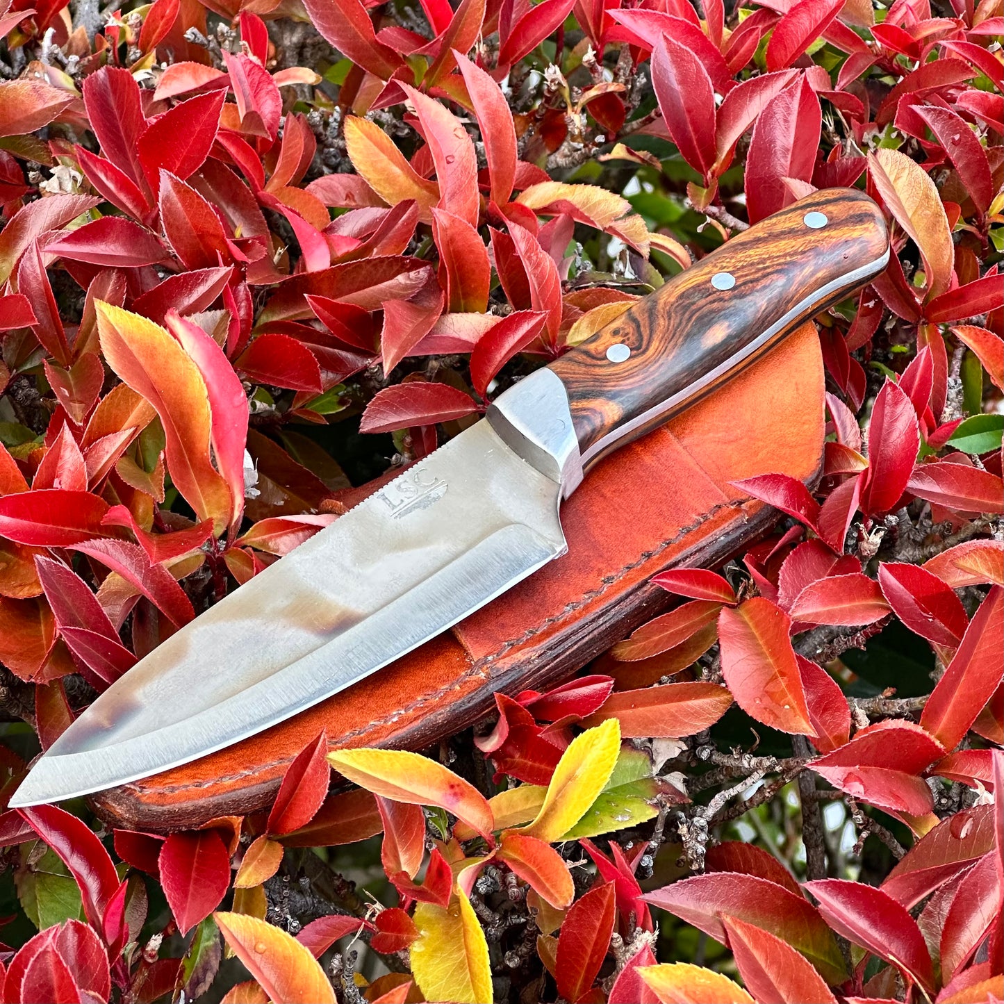 5" Camp Utility Knife (Made to Order)