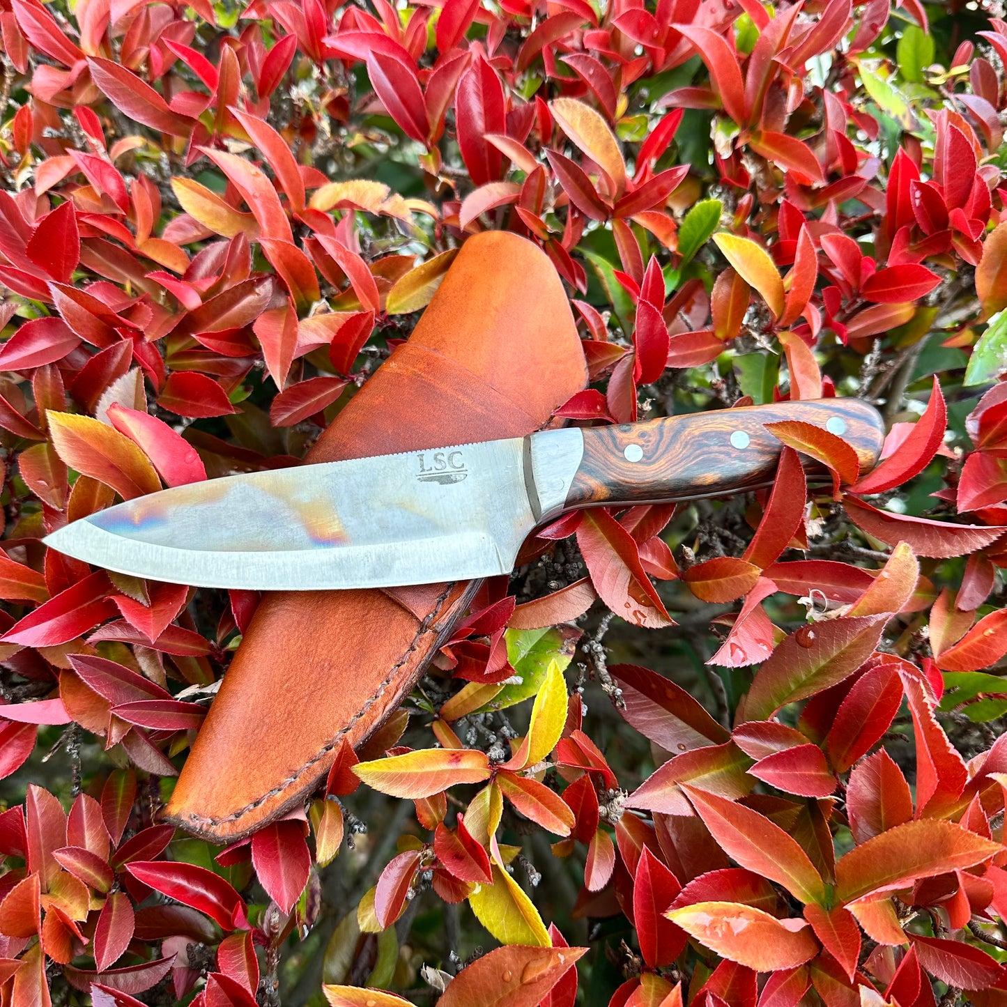5" Camp Utility Knife (Made to Order)