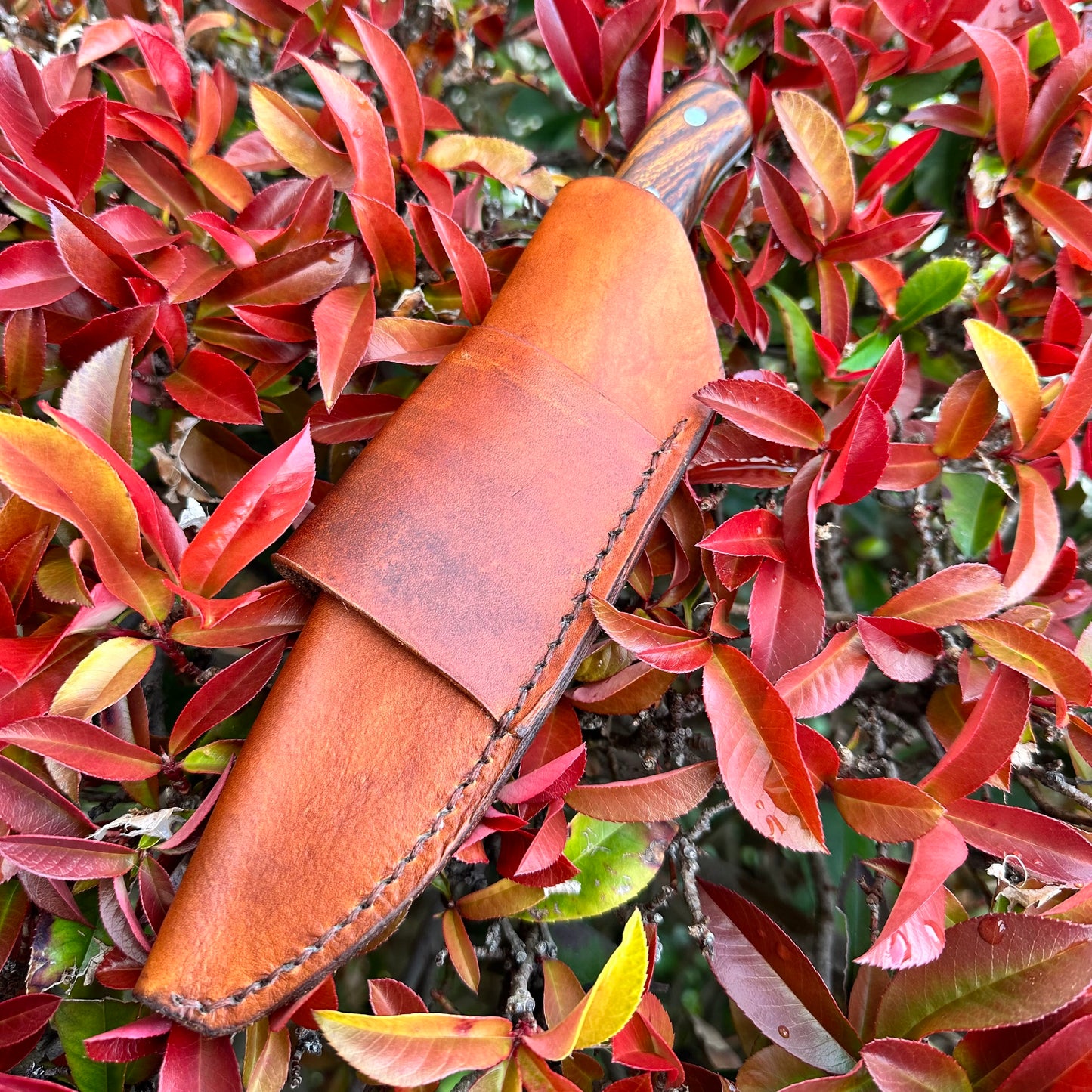 5" Camp Utility Knife (Made to Order)