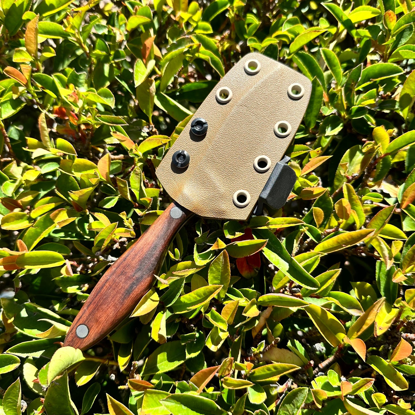 3" CA Belt Skinner - The Greenohorn