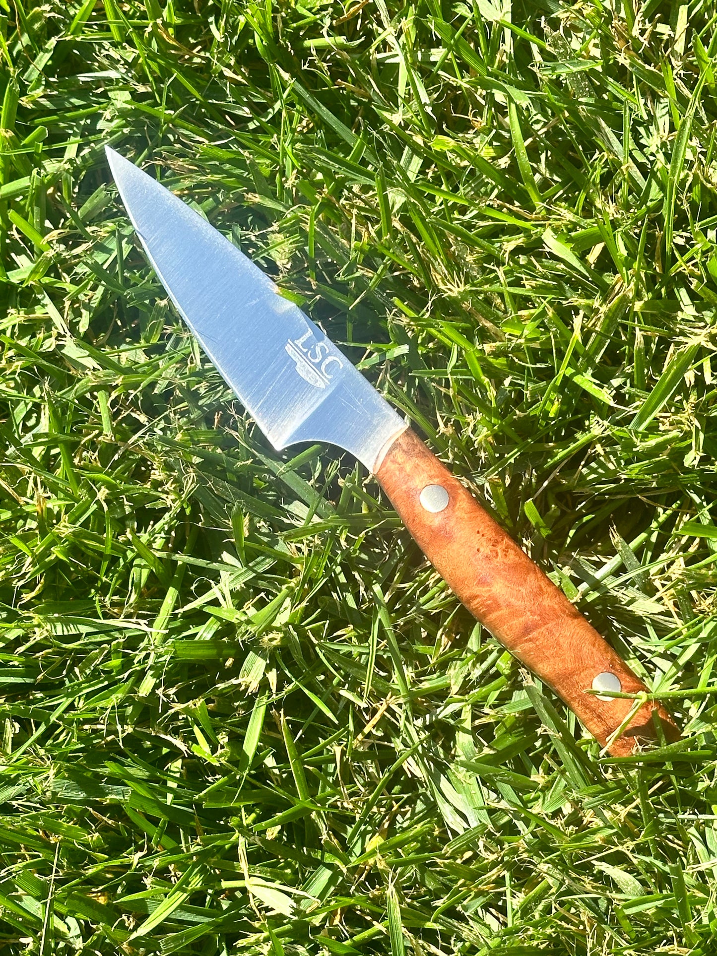 3" Pairing Knife w/ Stabilized Curly Maple [Available Now]