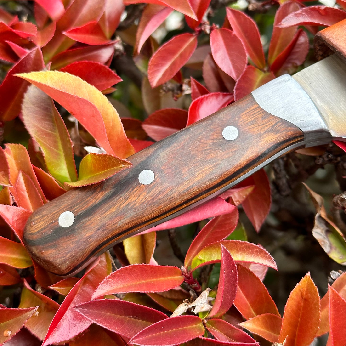 [SOLD] Custom 5" Camp Knife - Ironwood/Stainless